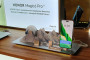 В Казахстане стартовали продажи смартфона HONOR Magic6 Pro с лучшей камерой