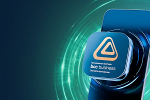 Экосистема для бизнеса: обзор bcc business